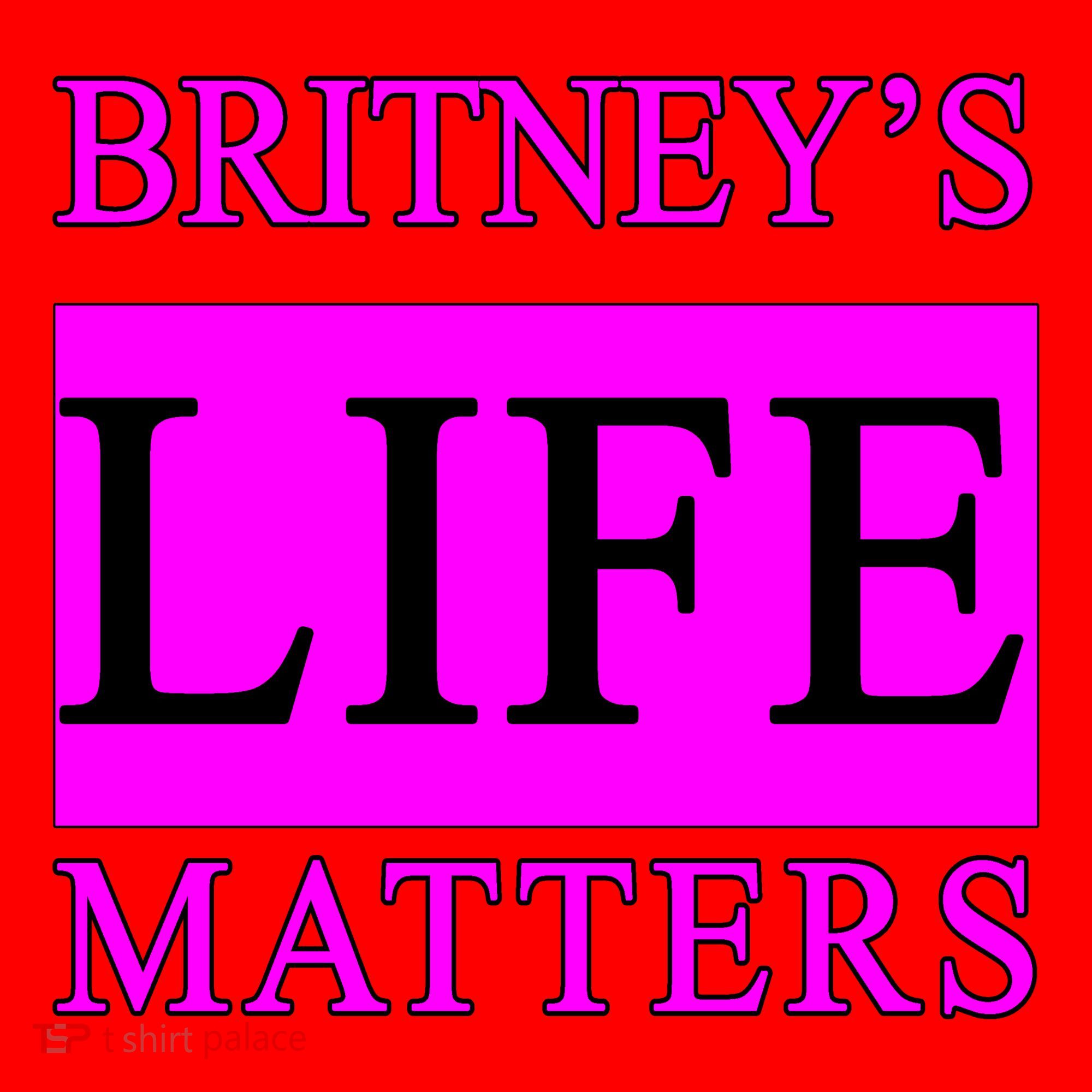 Britney's Life Matters BLM Free Britney Santa Hat