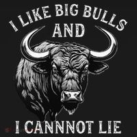 Bull Riding Like Big Bulls Rodeo Bull Rider Western Cowboy Women's Hoodie thumb 2