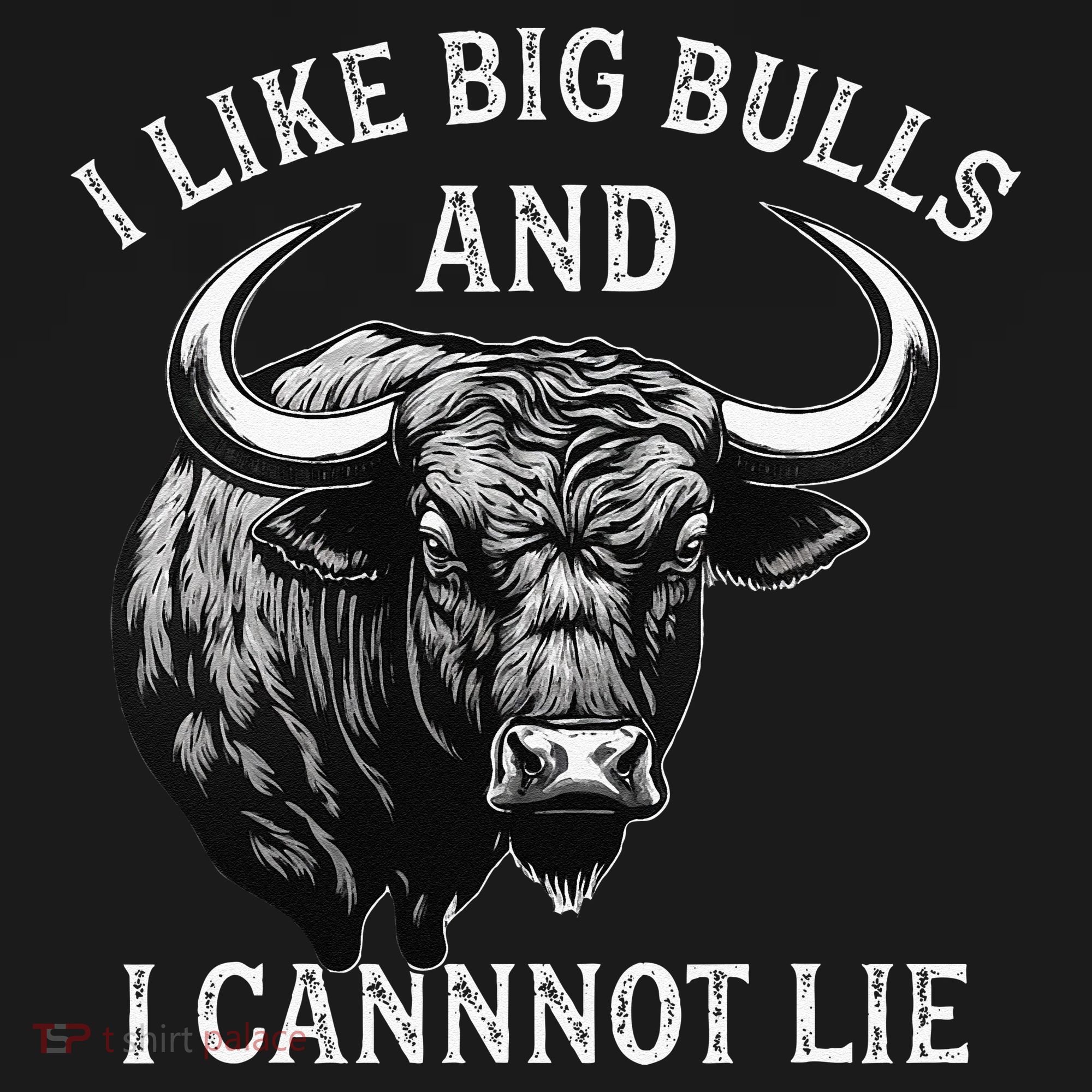 Bull Riding Like Big Bulls Rodeo Bull Rider Western Cowboy Women's Tank Top