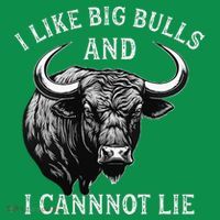 Bull Riding Like Big Bulls Rodeo Bull Rider Western Cowboy T-Shirt thumb 7
