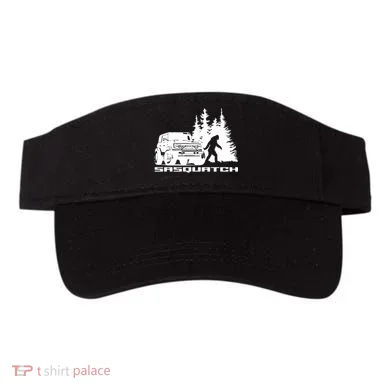 Visor