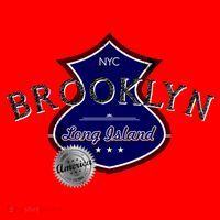 Brooklyn NYC Land of the Free Logo Santa Hat thumb 1