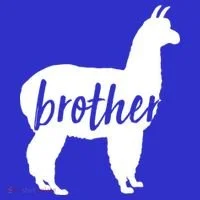 Brother Lama Coaster thumb 2