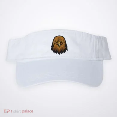 Visor
