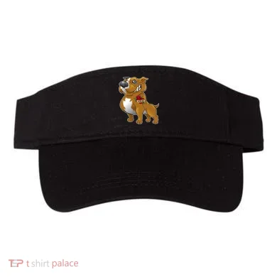 Visor