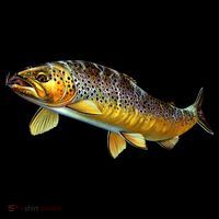 Brown Trout Fish with Fly Coffee Mug thumb 5