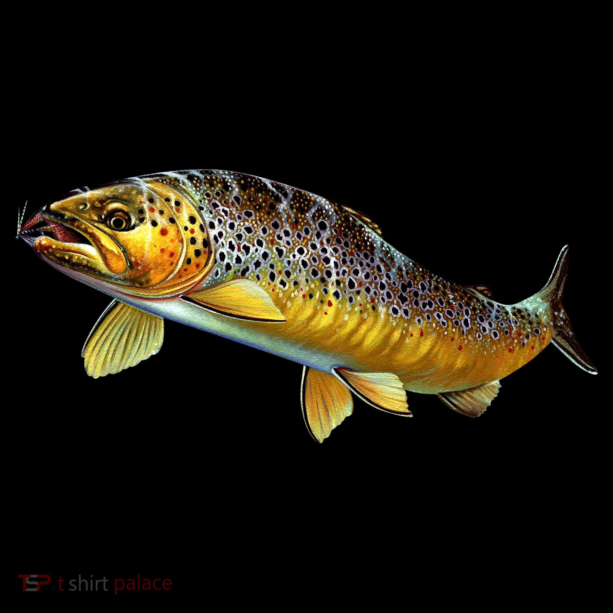 Brown Trout Fish with Fly Coffee Mug