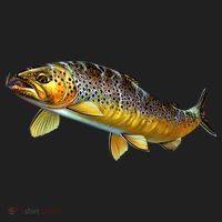 Brown Trout Fish with Fly Tumbler thumb 3