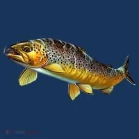 Brown Trout Fish with Fly Tank Top thumb 6