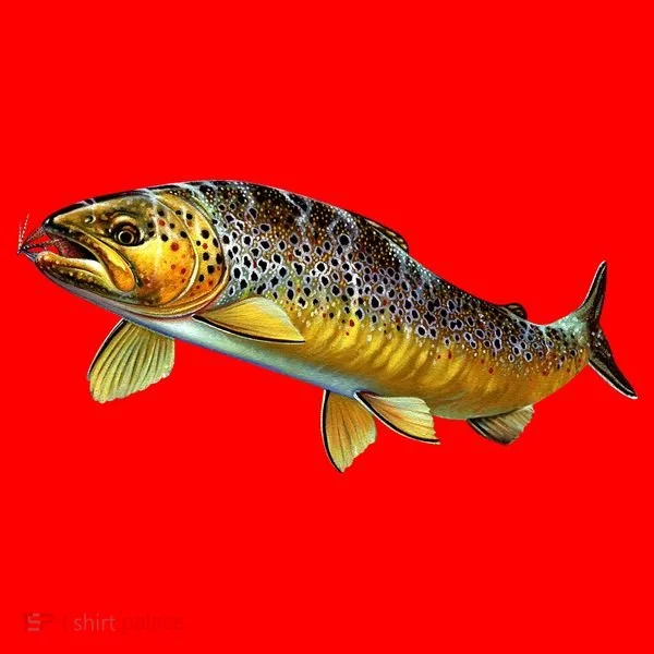 Brown Trout Fish with Fly Santa Hat