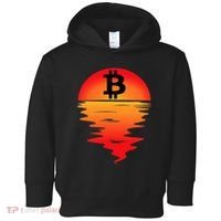 Bitcoin Retro Portfolio Crypto Currency Toddler Hoodie thumb 0