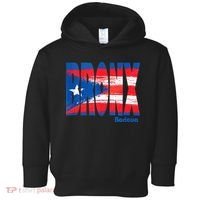 Boricua Roots Puerto Rico Pride PR Bronx Puerto Rico Flag Toddler Hoodie thumb 0
