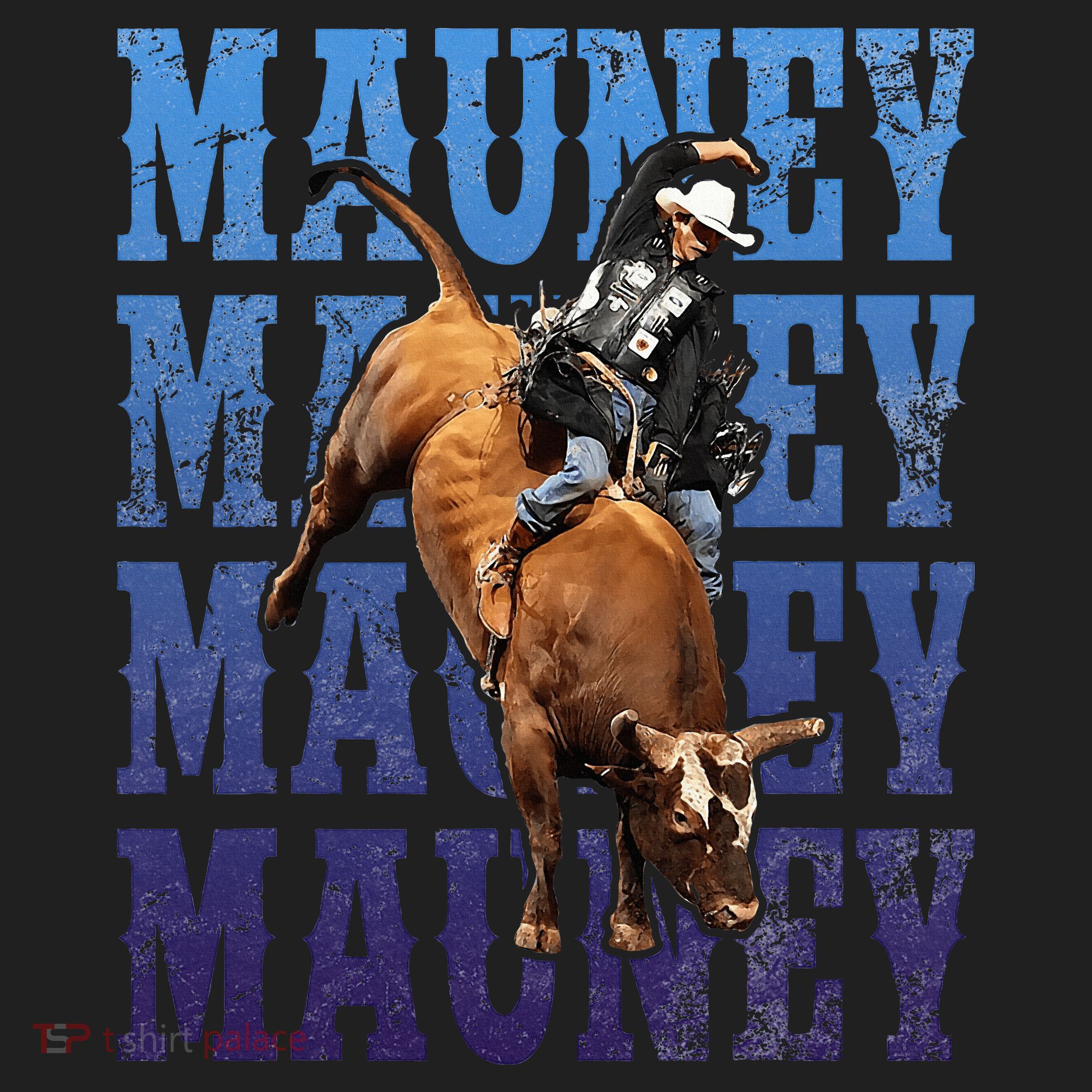 Bull Riders Rodeo Cowboy And Bull Riders Hat