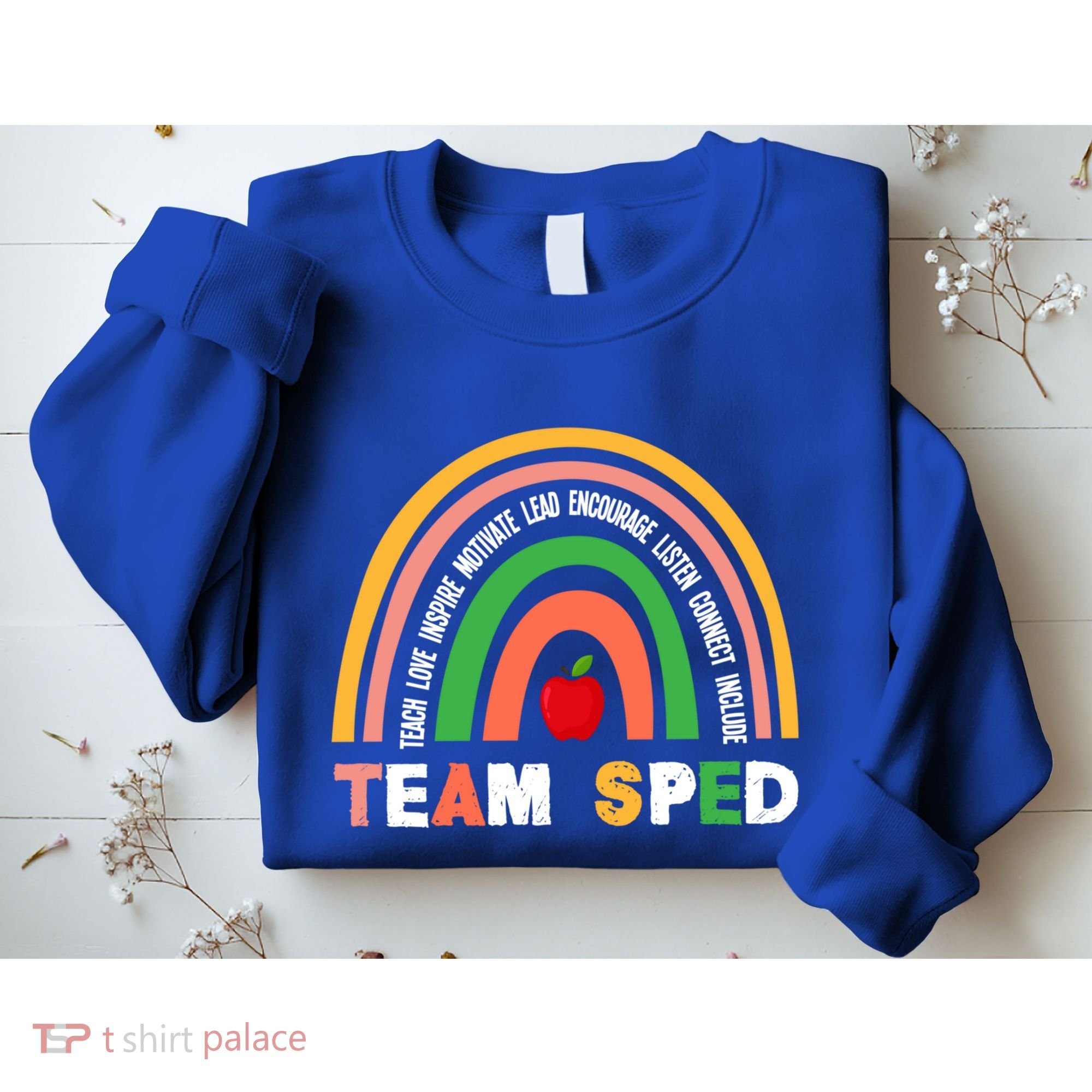 Boho Rainbow Special Needs Teacher Team Sped Great Gift Sweatshirt
