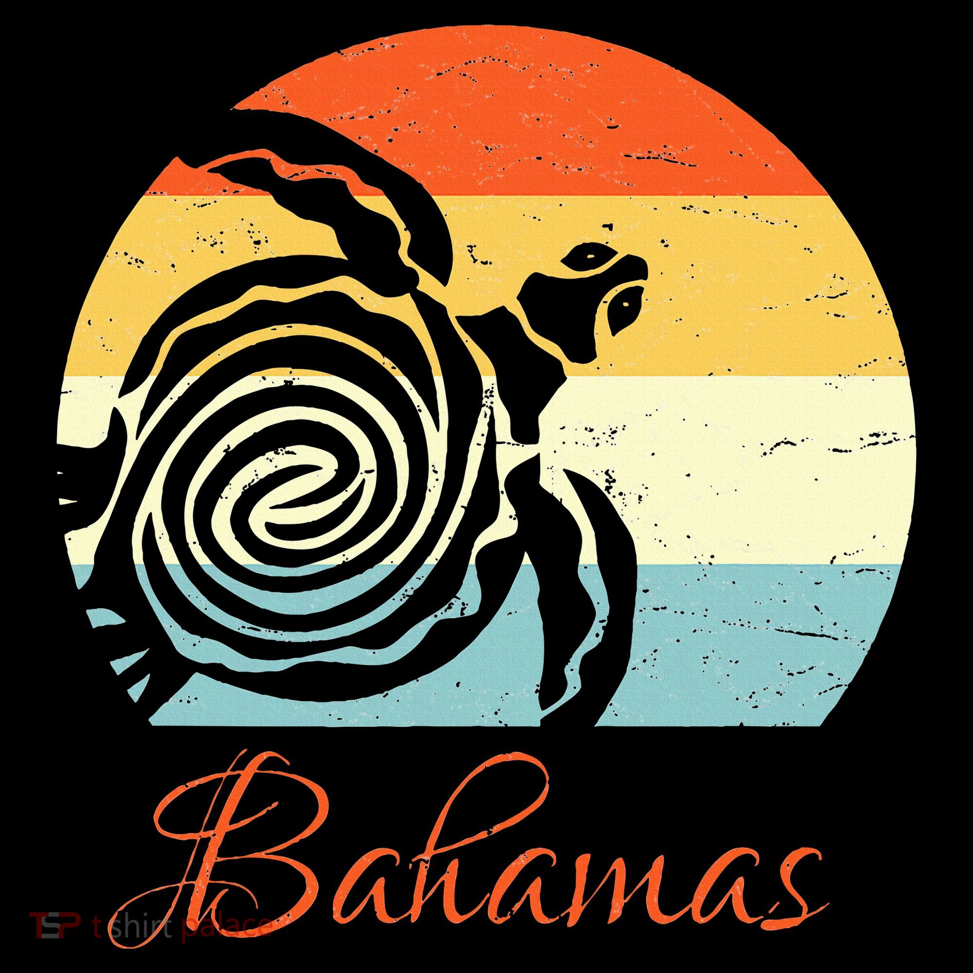 Bahamas Retro Throwback Sea Turtle Vacation Women's Hoodie
