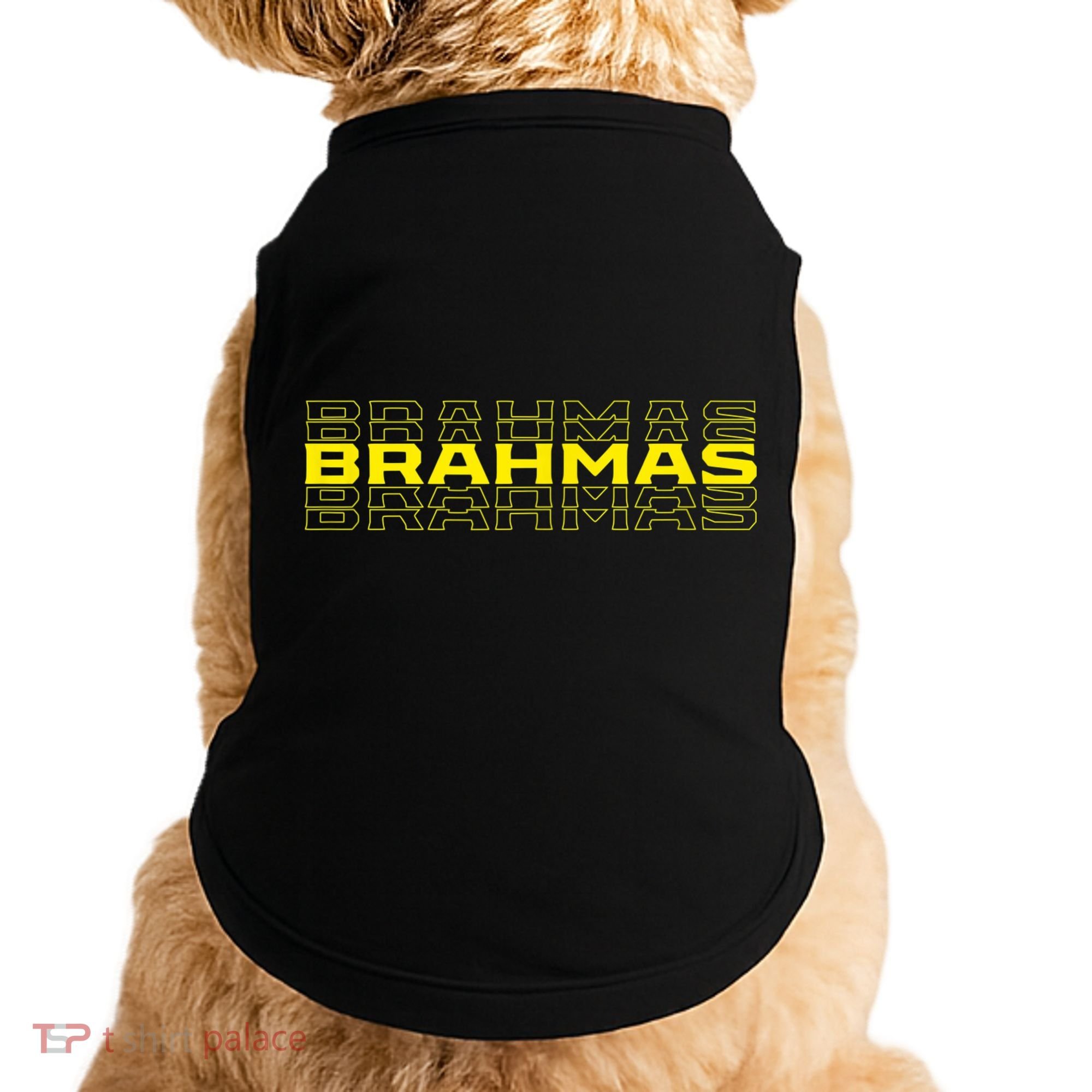 Brahmas San Antonio Football Tailgate Doggie Tank
