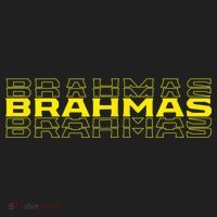 Brahmas San Antonio Football Tailgate Hat thumb 2