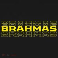 Brahmas San Antonio Football Tailgate Women's T-Shirt thumb 6