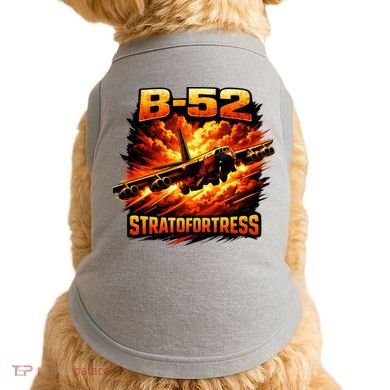 B-52 Stratofortress Bomber Doggie Tank
