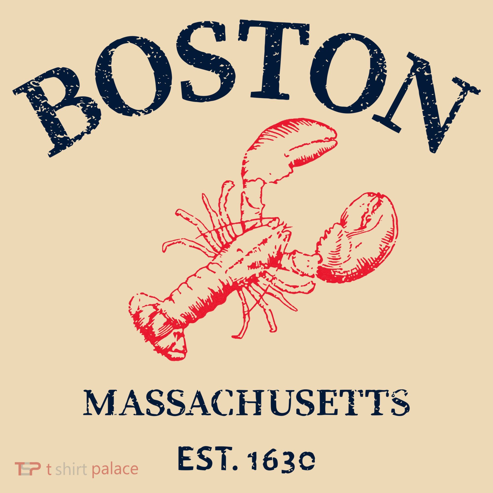 Boston Souvenir Boston Massachu Tote Bag