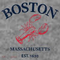 Boston Souvenir Boston Massachu Toddler Hoodie thumb 2