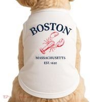 Boston Souvenir Boston Massachu Doggie Tank thumb 0