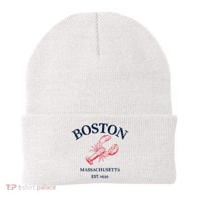 Boston Souvenir Boston Massachu Beanie