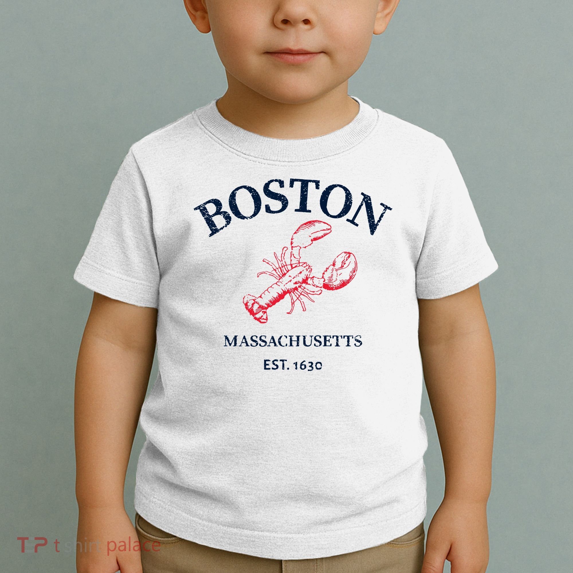 Boston Souvenir Boston Massachu Toddler T-Shirt