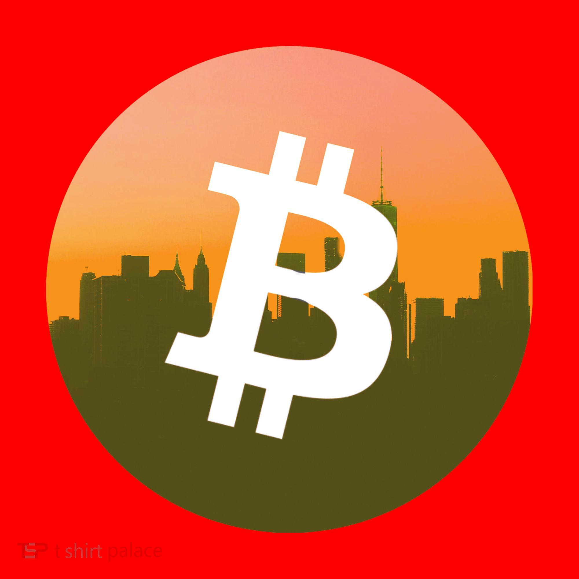 BTC Skylines Santa Hat