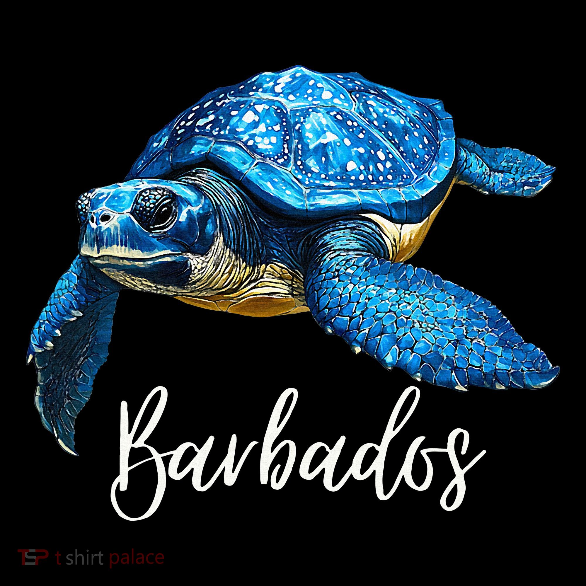 Barbados Souvenir  Barbados Visor