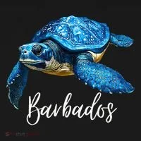Barbados Souvenir  Barbados Women's T-Shirt thumb 6