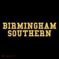 Birmingham Southern College Toddler Hoodie thumb 2