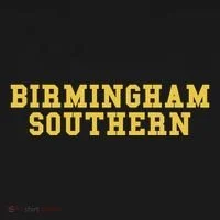 Birmingham Southern College Toddler Hoodie thumb 2