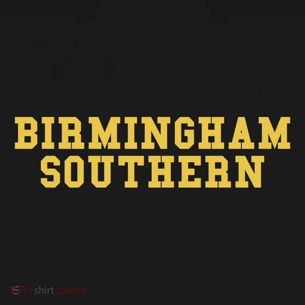 Birmingham Southern College Toddler Hoodie