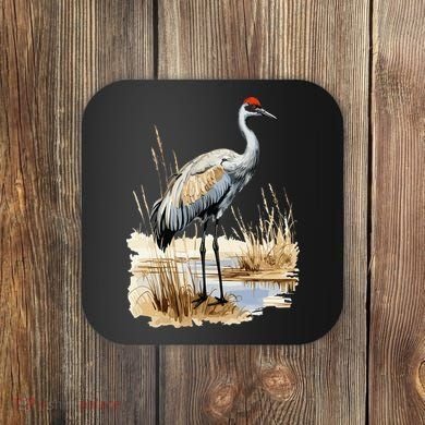 birding sandhill crane nebraska Sandhill cranes Coaster