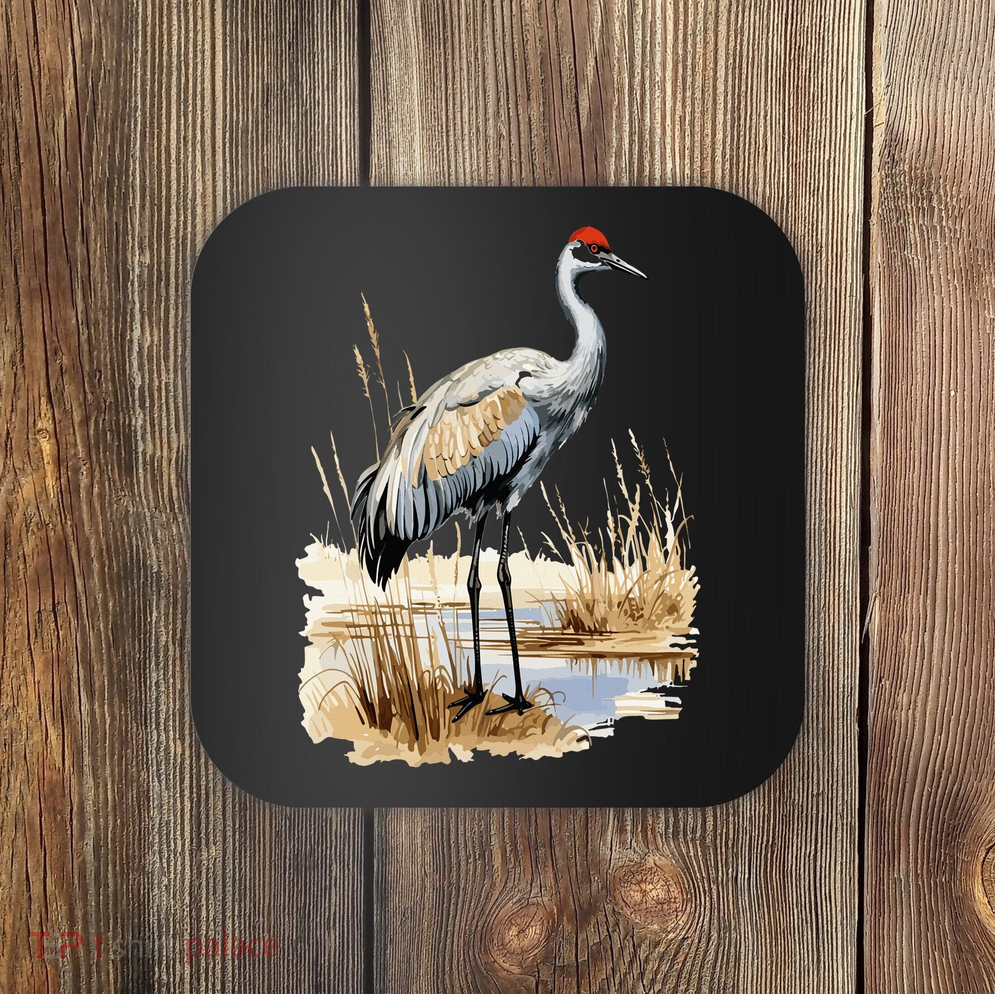 birding sandhill crane nebraska Sandhill cranes Coaster