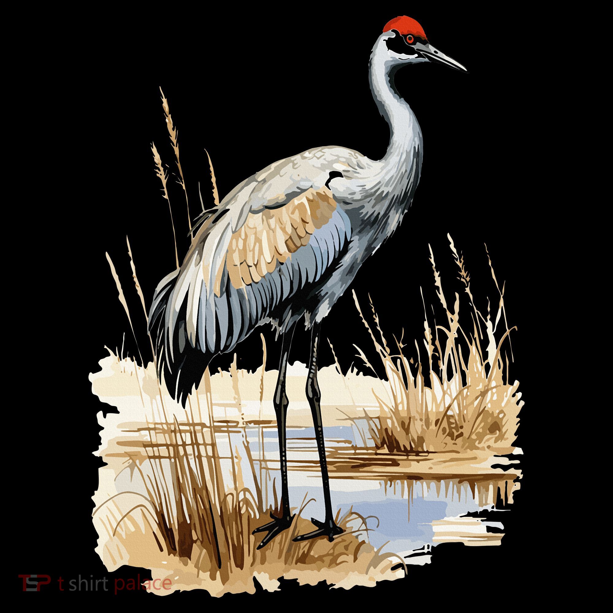 birding sandhill crane nebraska Sandhill cranes Women's Hoodie