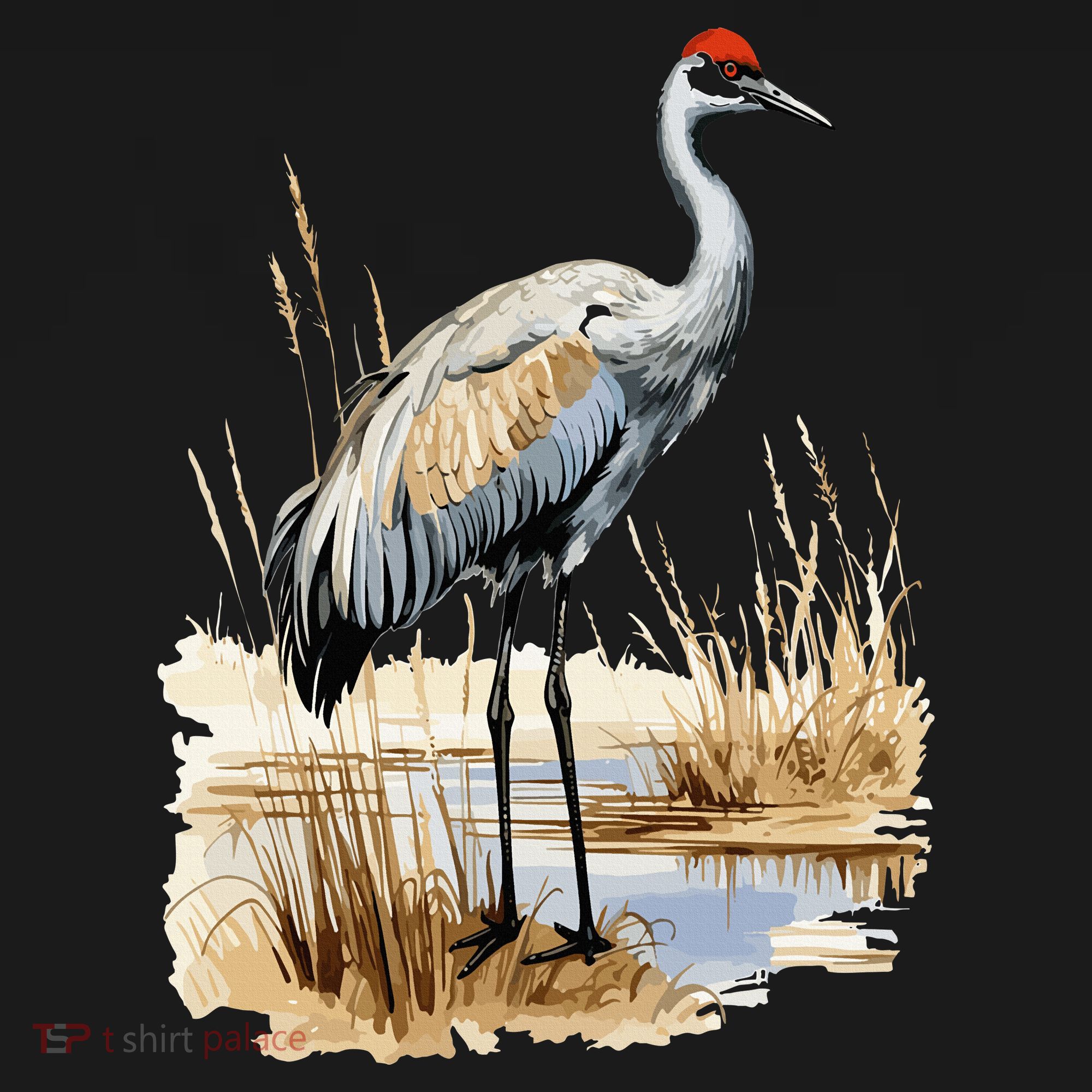 birding sandhill crane nebraska Sandhill cranes Baby Bodysuit