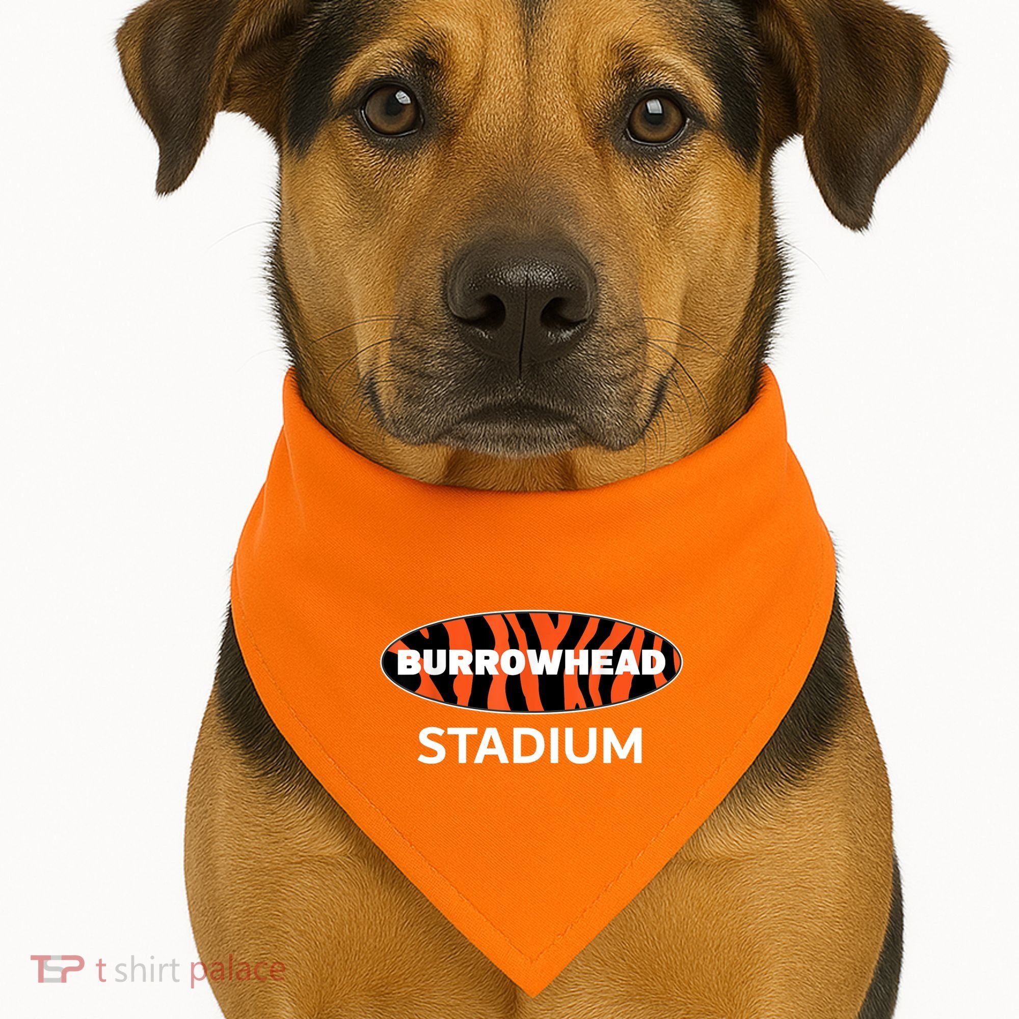 Burrowhead Stadium Cincinnati Football USA-Made Doggie Bandana