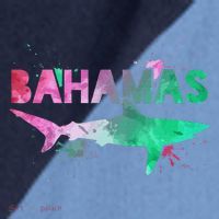 Bahamas Shark Diving Surfer Souvenir Gift Raglan Baseball Sleeve Shirt thumb 2
