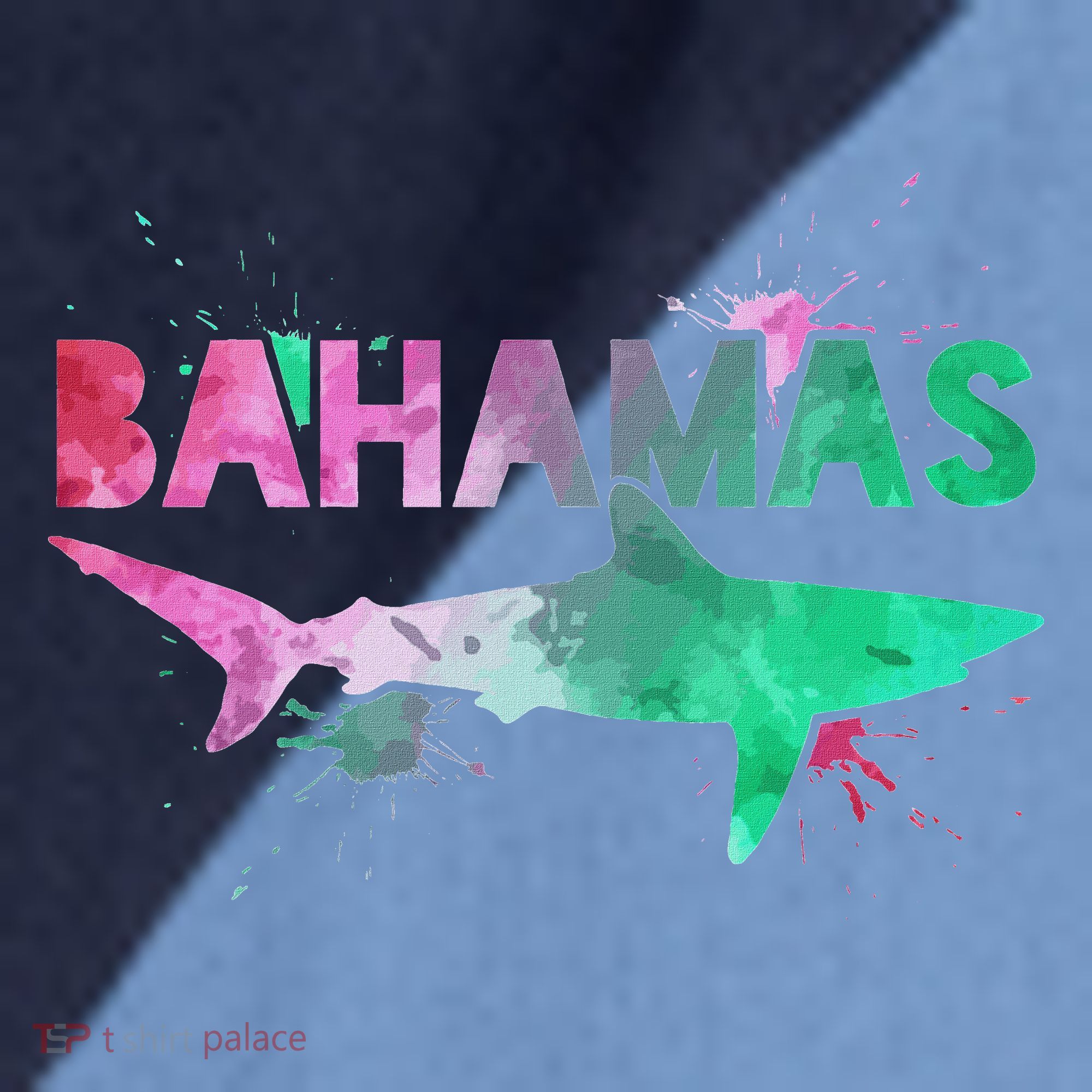Bahamas Shark Diving Surfer Souvenir Gift Raglan Baseball Sleeve Shirt