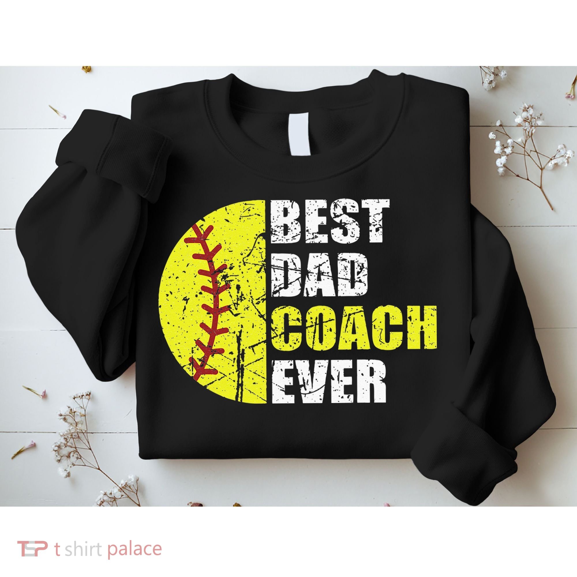 Best Softball Dad Coach Ever Retro Father Softball Coach Dad Sweatshirt