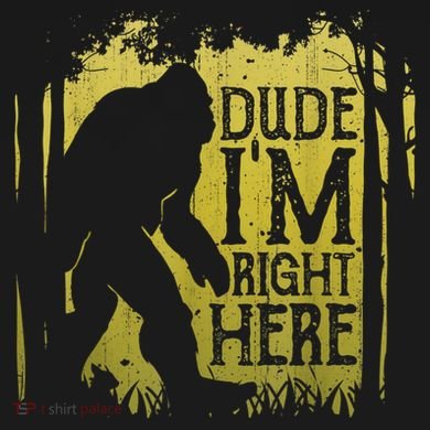 Bigfoot Sasquatch Dude I'm Right Here Funny Men Vintage 16 in Basic Backpack