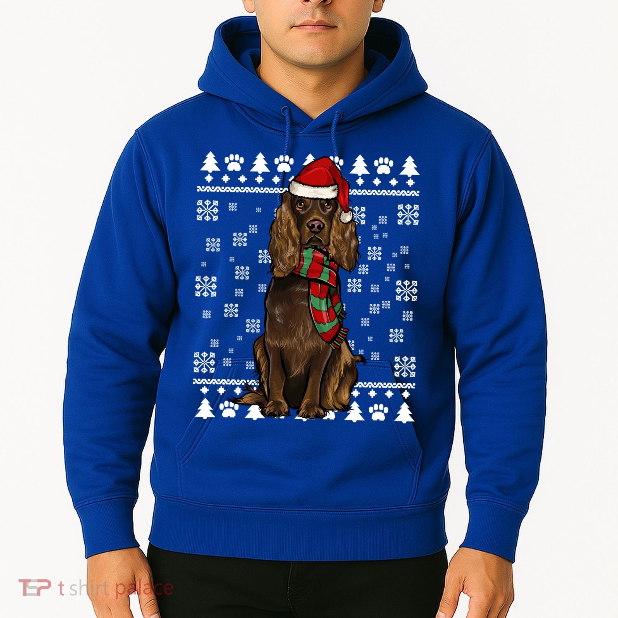 Boykin Spaniel Dog Santa Hat Xmas Ugly Christmas Gift Hoodie