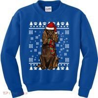 Boykin Spaniel Dog Santa Hat Xmas Ugly Christmas Gift Kids Sweatshirt thumb 0
