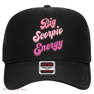 Big Scorpio Energy Scorpio Zodiac Sign Hat