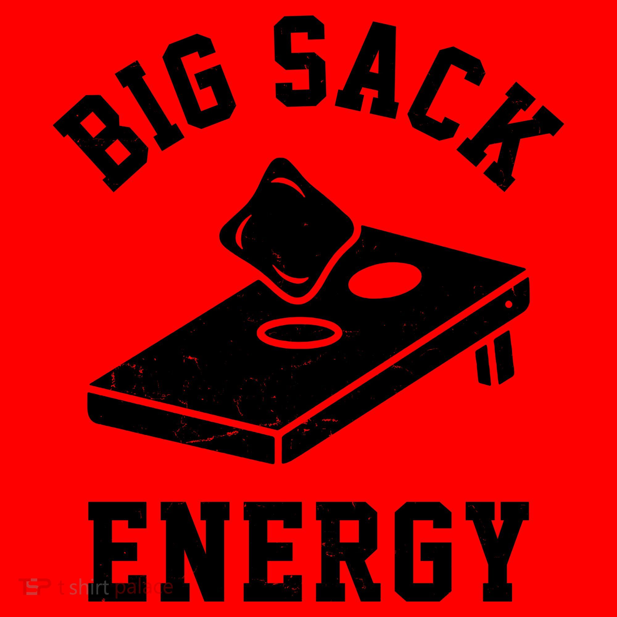 Big Sack Energy Funny Cornhole Santa Hat