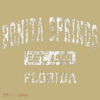 Bonita Springs Florida Fl Vintage Established T-Shirt thumb 7