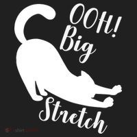 Big Stretch Funny Cat Lover Women's Sweatshirt thumb 2