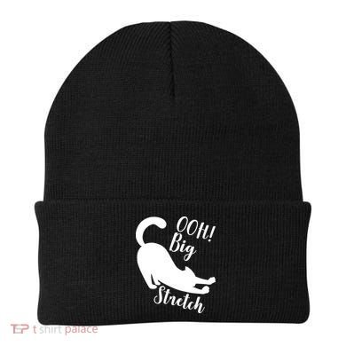 Big Stretch Funny Cat Lover Beanie